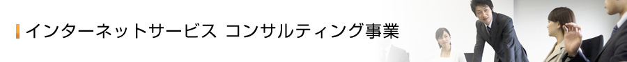 インターネットサービス コンサルティング事業